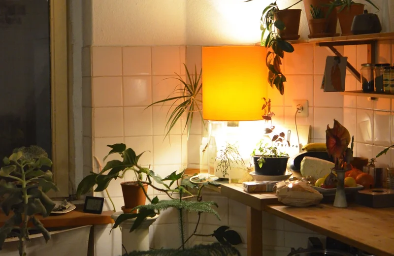 5 Low-Light Apartment Plant Ideas That Thrive (UK)