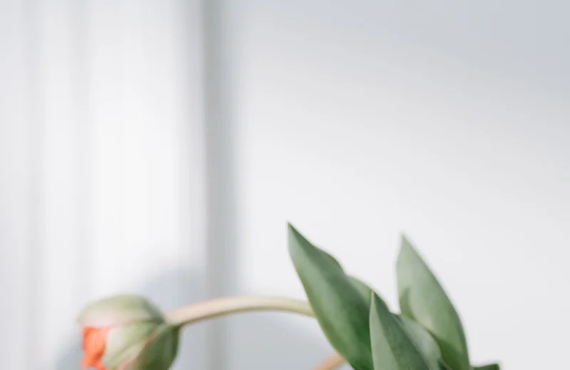 Spring Home Refresh Ideas UK