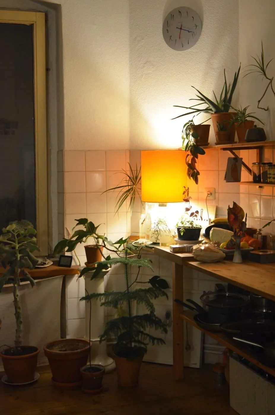 5 Low-Light Apartment Plant Ideas That Thrive (UK)