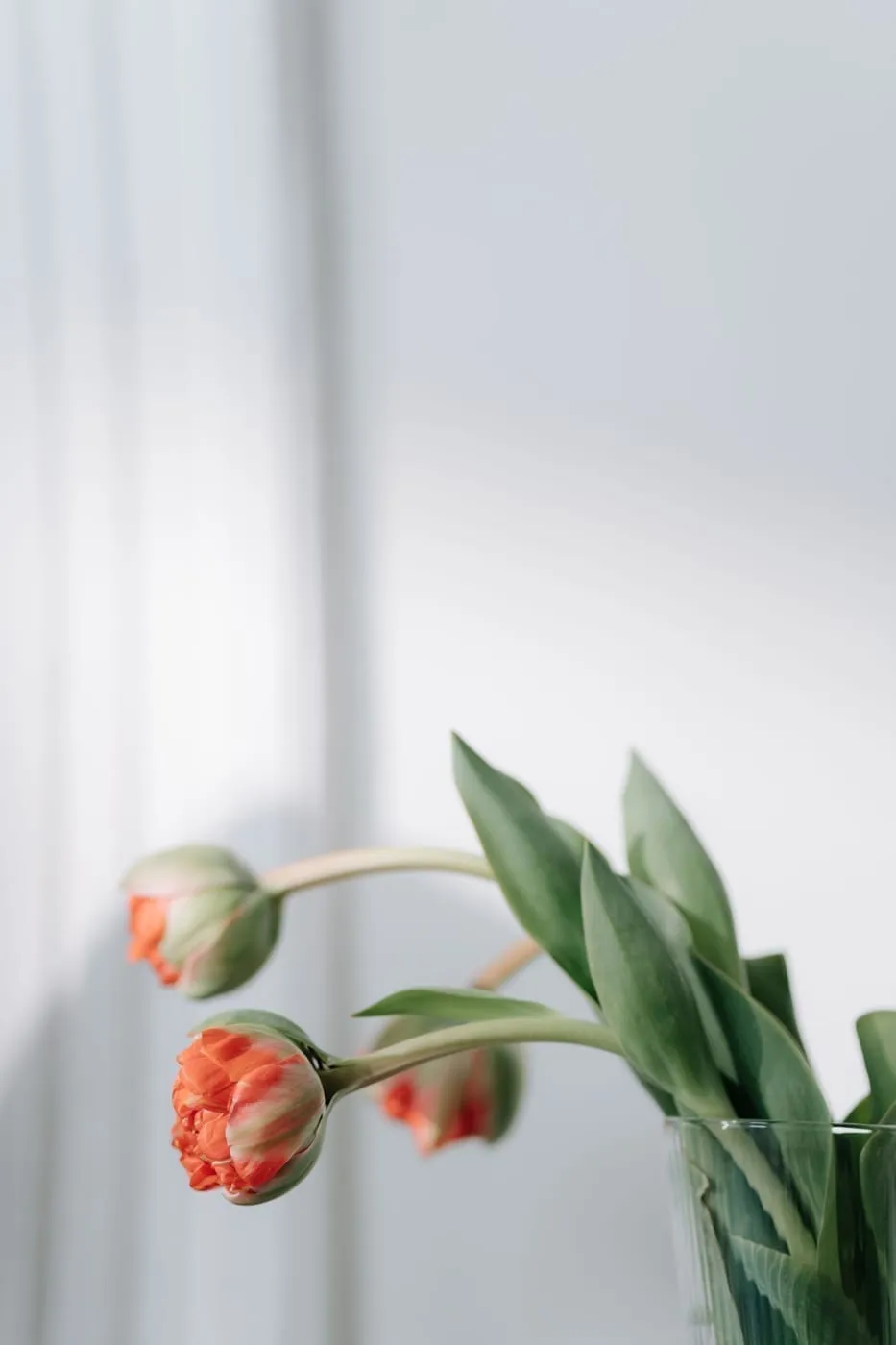 Spring Home Refresh Ideas UK